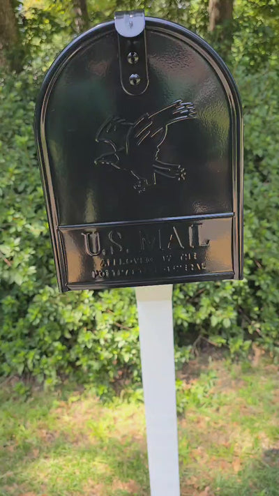 Pressure Treated post (painted) w/ Large steel Mailbox