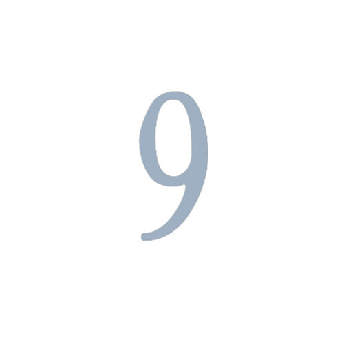 3 inch Stainless Steel Self Adhesive Address Number.  Number: 9